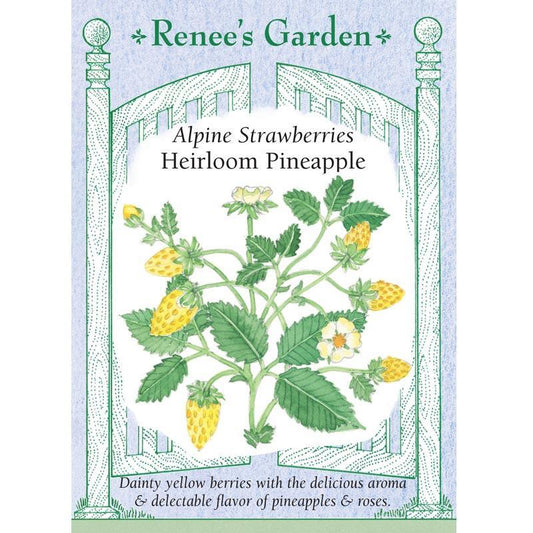 Pineapple Alpine Strawberry Seeds