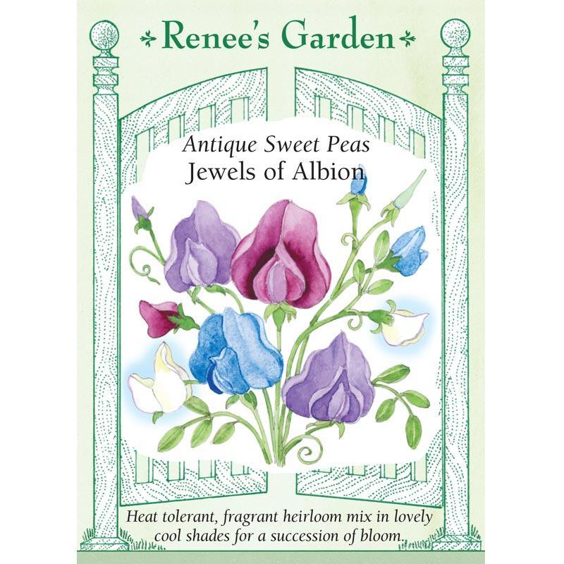 Jewels of Albion Antique Sweet Pea Flower Seeds