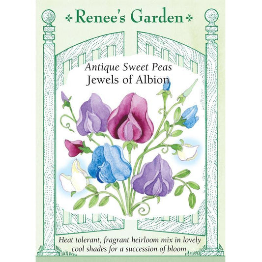 Jewels of Albion Antique Sweet Pea Flower Seeds