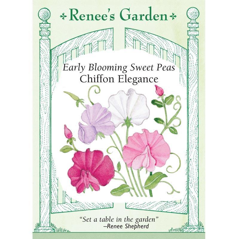 Chiffon Elegance Sweet Pea Flower Seeds