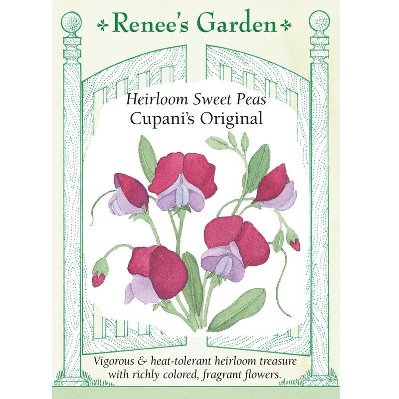 Cupani's Original Sweet Pea Flower Seeds