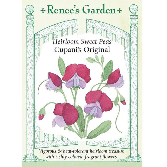 Cupani's Original Sweet Pea Flower Seeds