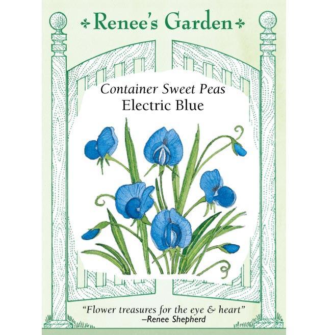 Electric Blue Sweet Pea Flower Seeds