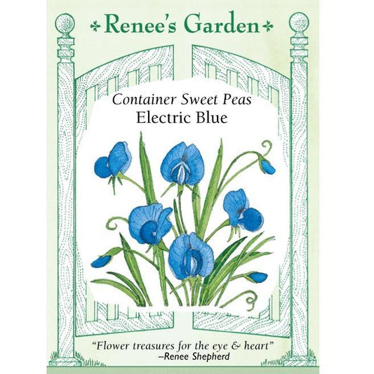Electric Blue Sweet Pea Flower Seeds