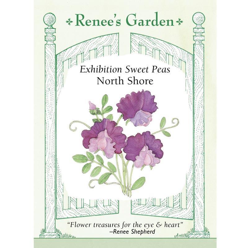 North Shore Sweet Pea Flower Seeds
