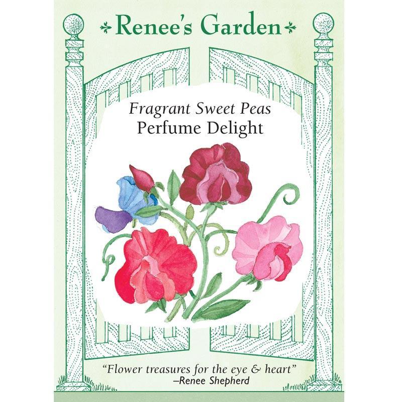 Perfume Delight Sweet Pea Flower Seeds