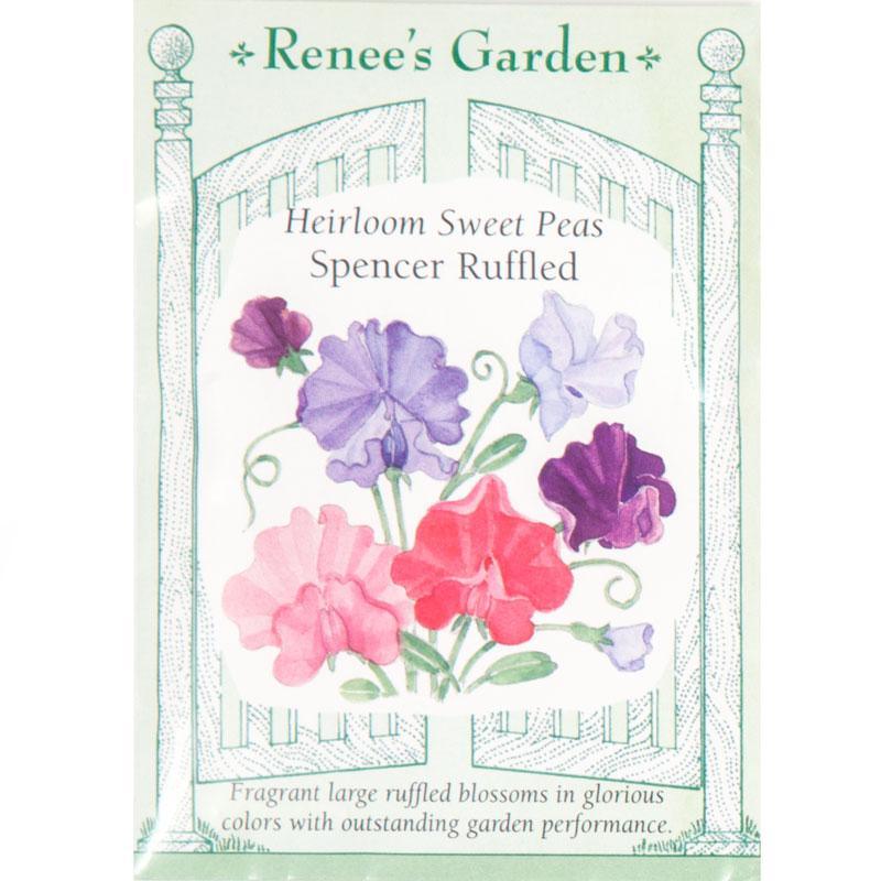 Spencer Ruffled Sweet Pea Flower Seeds