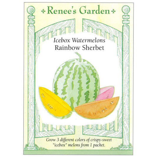 Rainbow Sherbet Trio Watermelon Seed Mix
