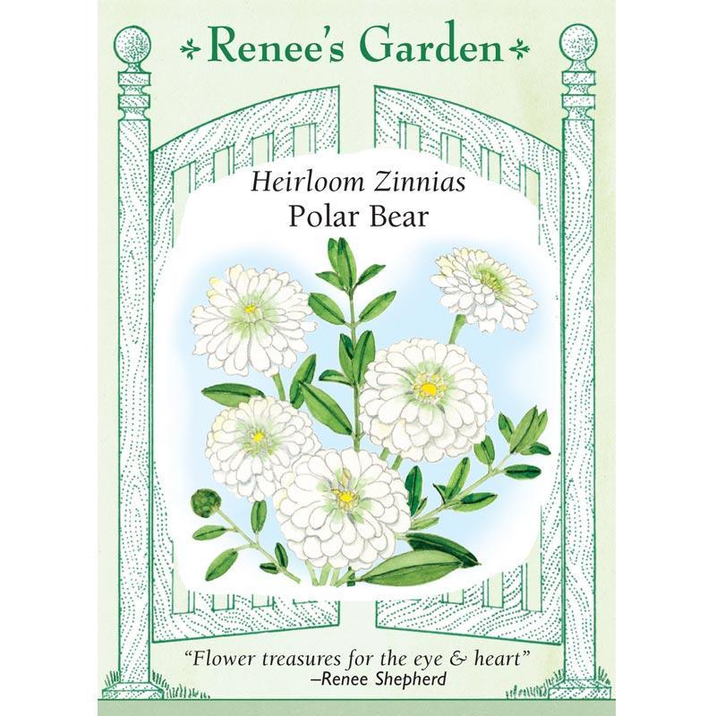 Polar Bear Zinnia Flower Seeds