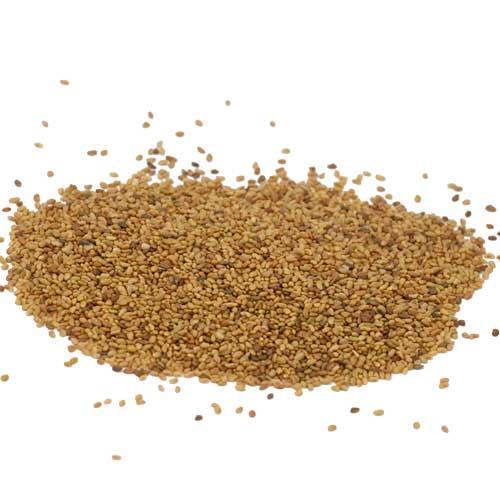Ladak Alfalfa - Raw Seed (lb)