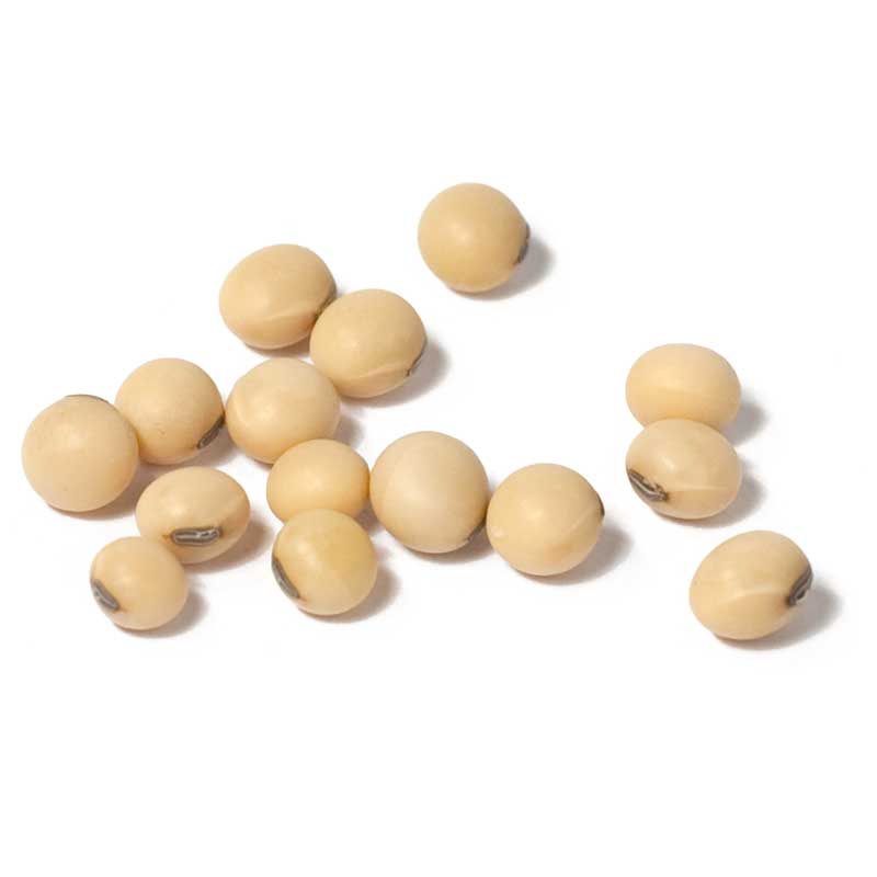 Soybeans - Raw Seed (lb)