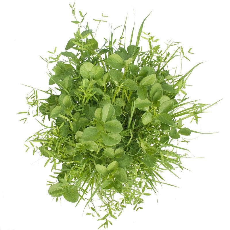 Peaceful Valley Budget Soil Builder Mix - Raw Seed (lb)