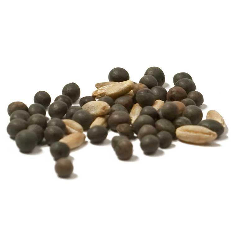 Peaceful Valley Cold Zone Soil Builder Mix - Raw Seed (lb)