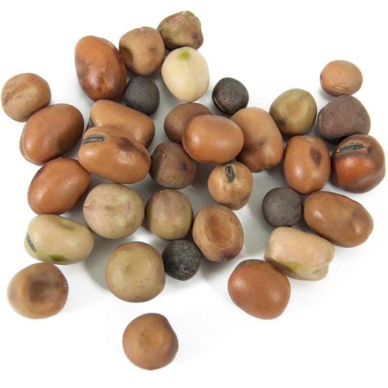 Peaceful Valley Nitro-Max Plow Down Mix Seed (lb)