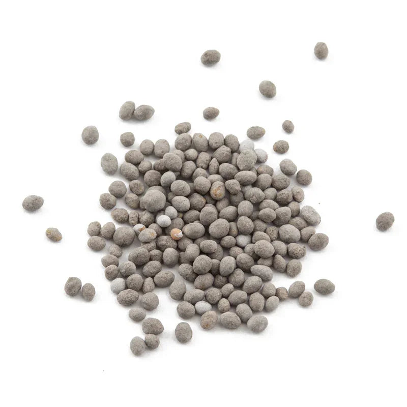 Peaceful Valley Easy Care Cover Crop Mix - Nitrocoated Seed (lb)