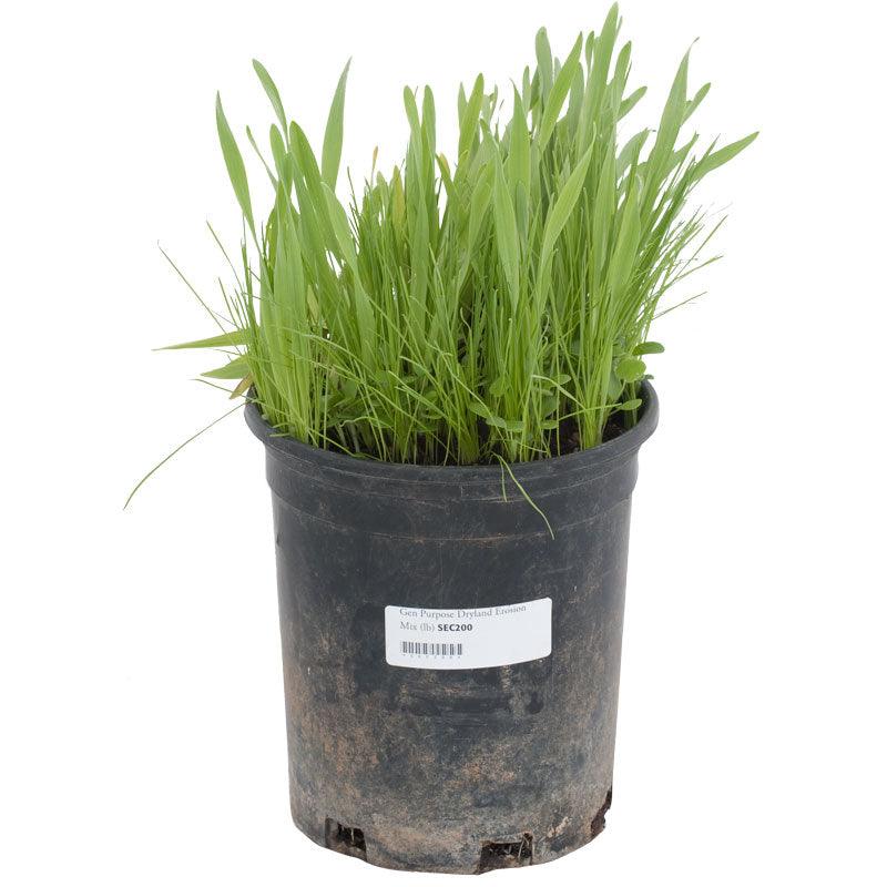Peaceful Valley General Purpose Erosion Mix - Nitrocoated Seed (lb)