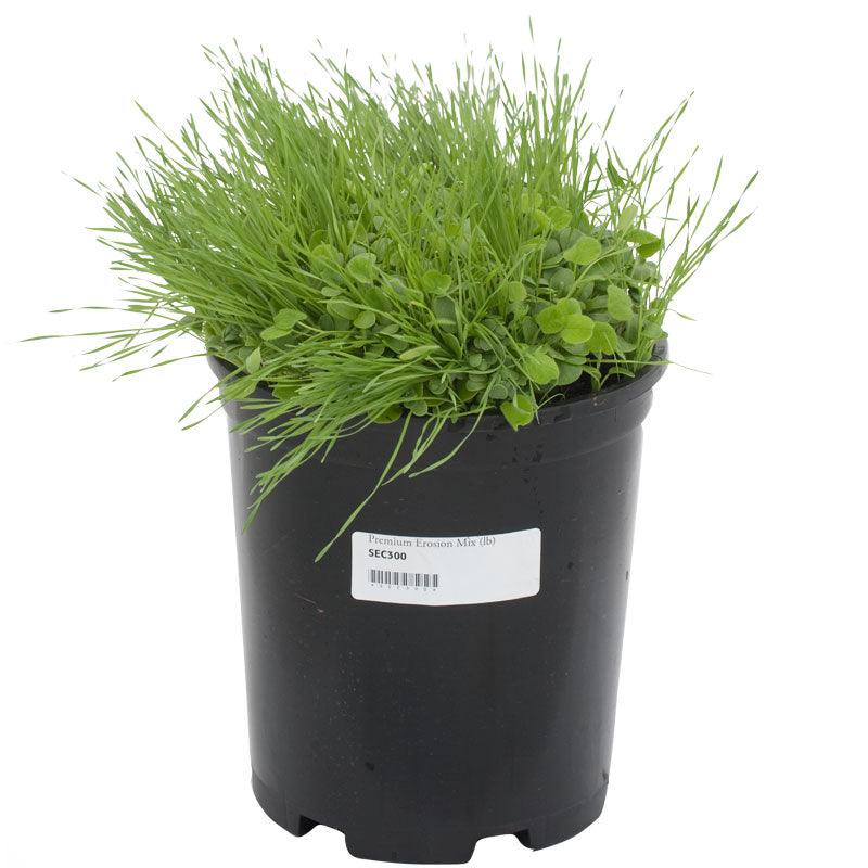 Peaceful Valley Premium Erosion Mix - Nitrocoated Seed (lb)