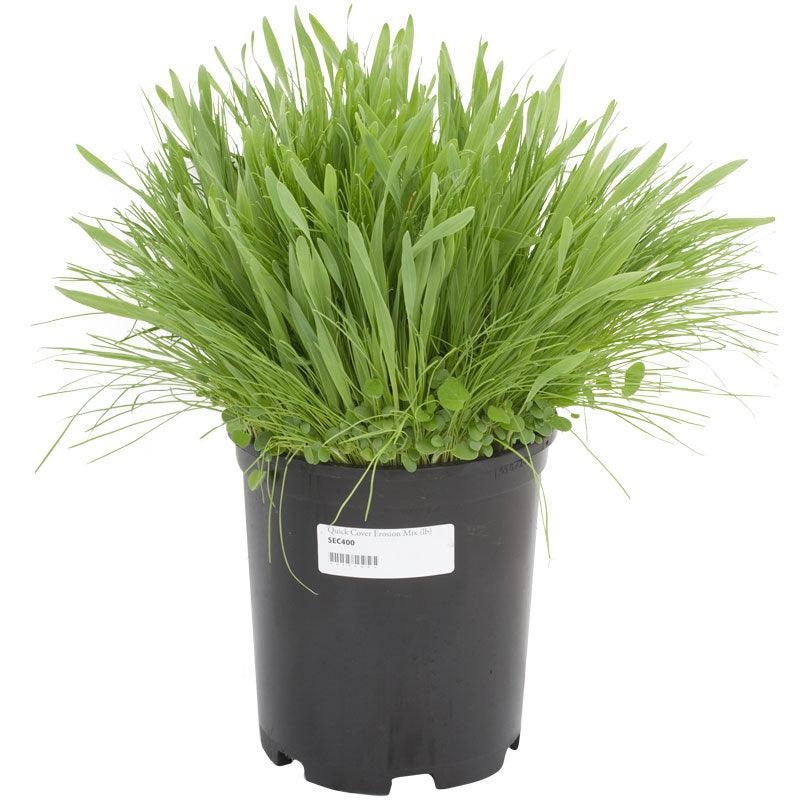 Peaceful Valley Quick Cover Erosion Mix - Nitrocoated Seed (lb)