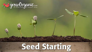 Peaceful Valley Seed Starting Kit