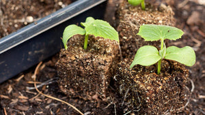 Peaceful Valley Seed Starting Kit