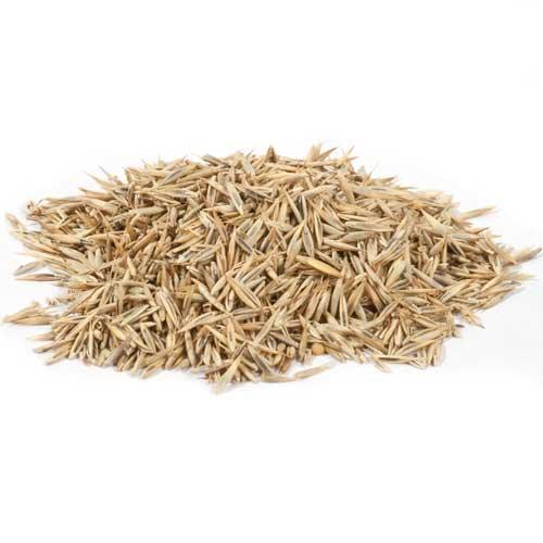 Peaceful Valley Native Lawn Mix - Seed (lb)
