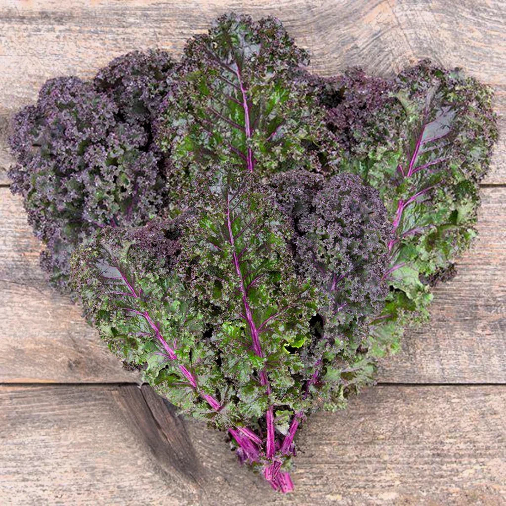 Peaceful Valley Organic Kale Curly Roja 1 oz