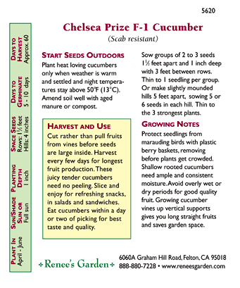 Chelsea Prize English Cucumber Seeds