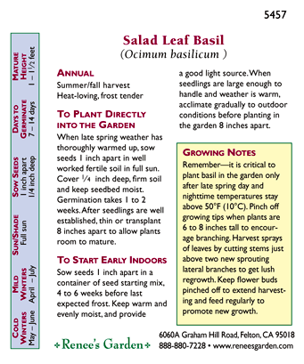 Salad Leaf Basil Seeds