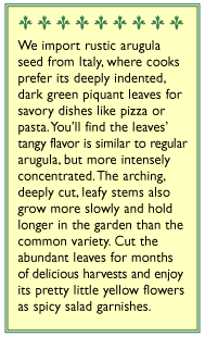 Rustic Arugula Seeds