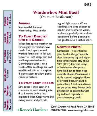 Windowbox Mini Basil Seeds