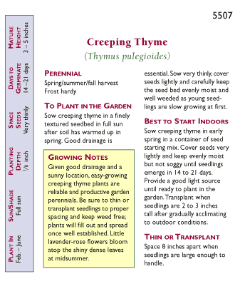 Creeping Thyme Seeds