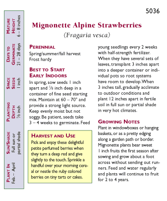 Mignonette Alpine Strawberry Seeds