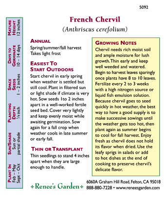 French Chervil Seeds