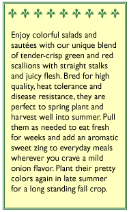 Delicious Duo Scallion Onion Seed Mix