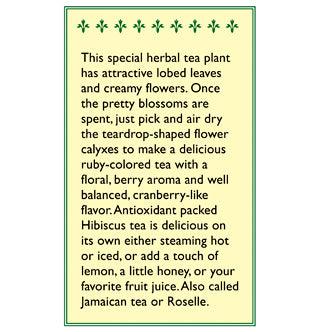 Zinger Herbal Tea Hibiscus Seeds
