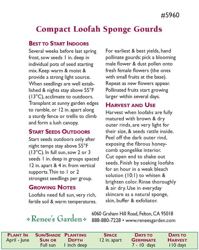 Bath Loofah Compact Vining Gourd Seeds