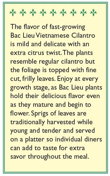 Bac Lieu Vietnamese Cilantro Seeds