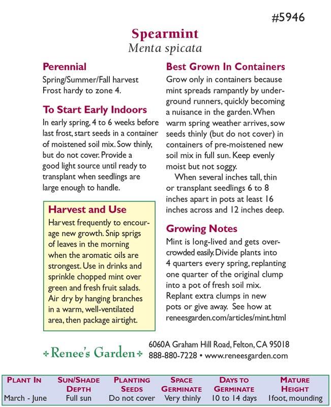 Heirloom Spearmint Seeds