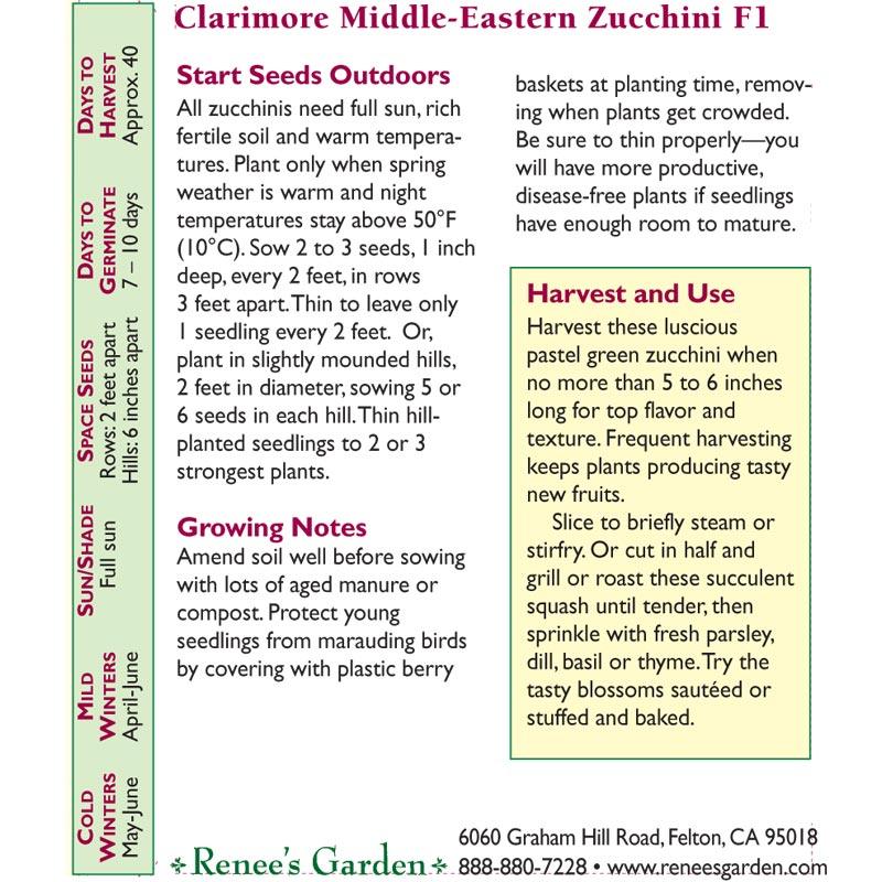 Mid-East Clarimore Zucchini Summer Squash Seeds
