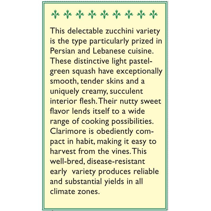 Mid-East Clarimore Zucchini Summer Squash Seeds