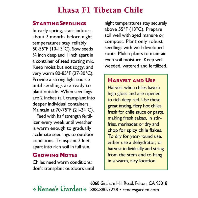 Lhasa Tibetan Chile Pepper Seeds