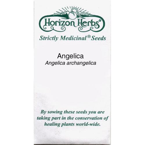 Official Angelica Seeds (Organic)