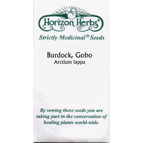 Gobo Burdock Seeds (Organic)