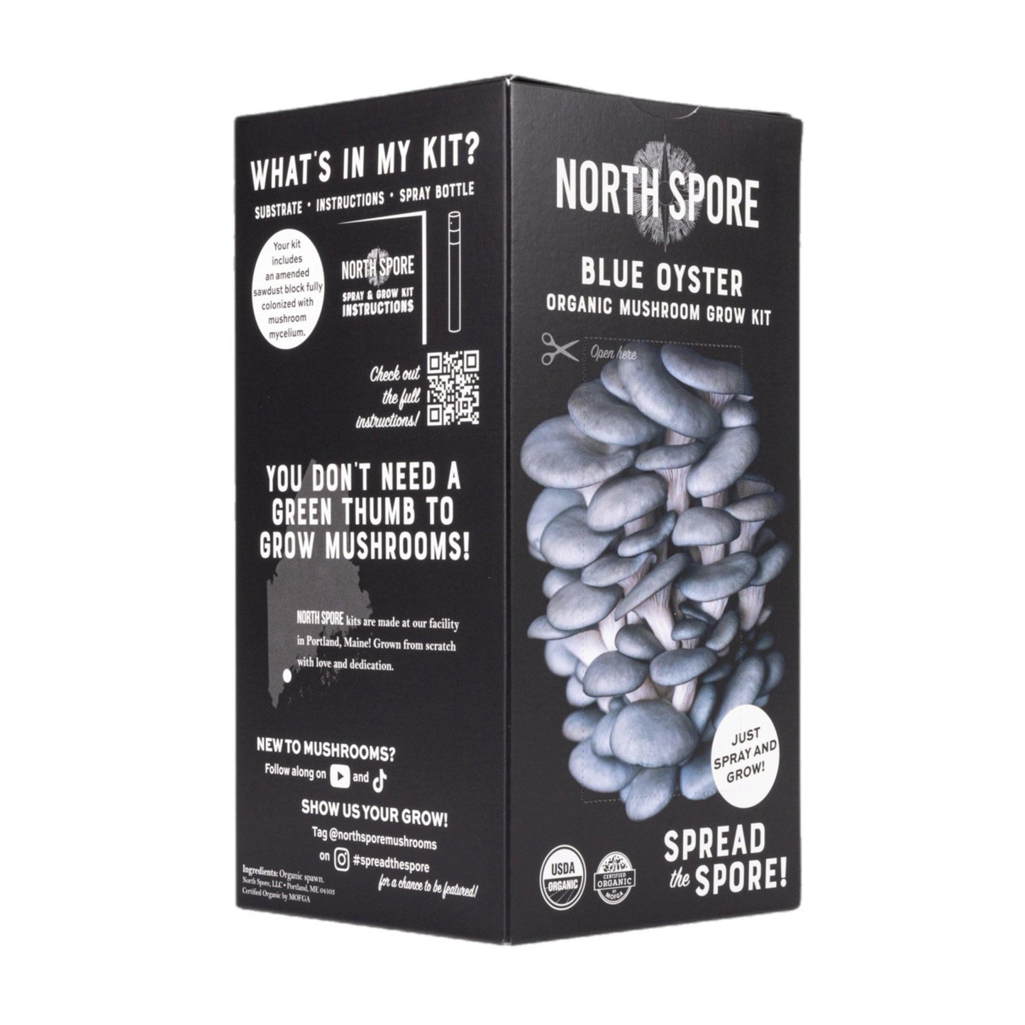 Organic Blue Oyster 'Spray & Grow' Mushroom Growing Kit