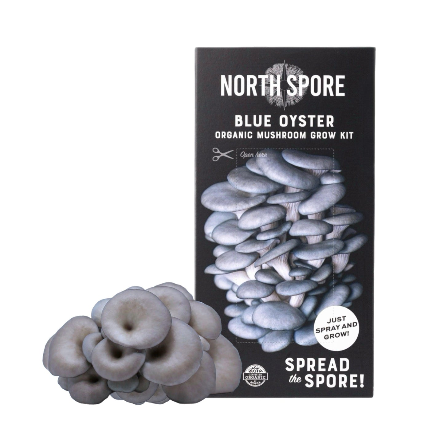 Organic Blue Oyster 'Spray & Grow' Mushroom Growing Kit