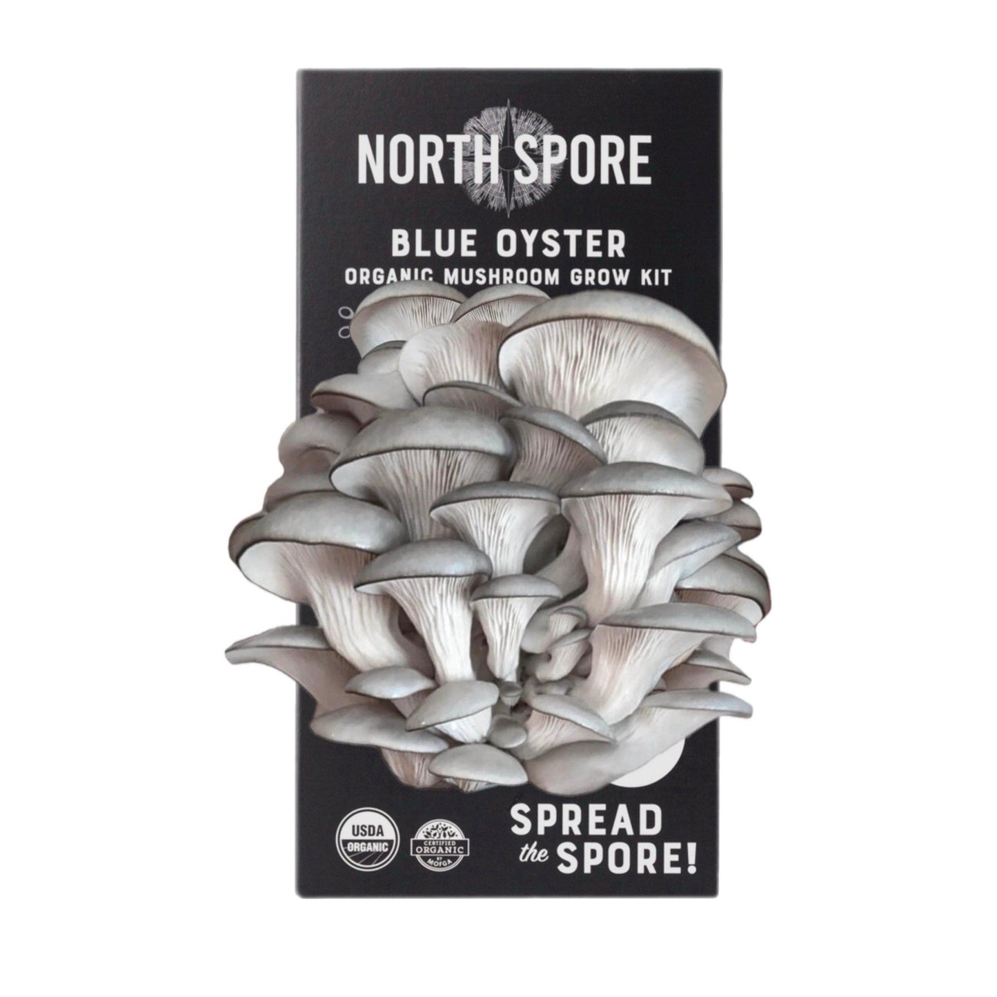 Organic Blue Oyster 'Spray & Grow' Mushroom Growing Kit