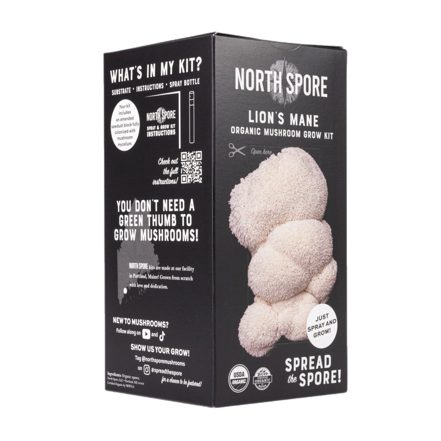 Organic Lion's Mane 'Spray & Grow' Mushroom Growing Kit