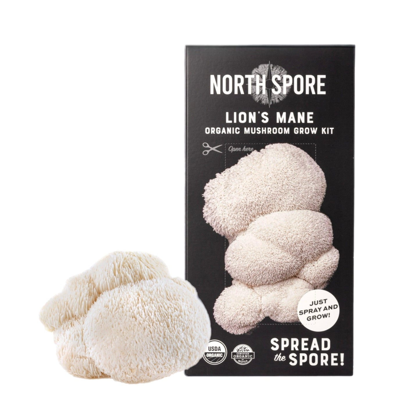Organic Lion's Mane 'Spray & Grow' Mushroom Growing Kit