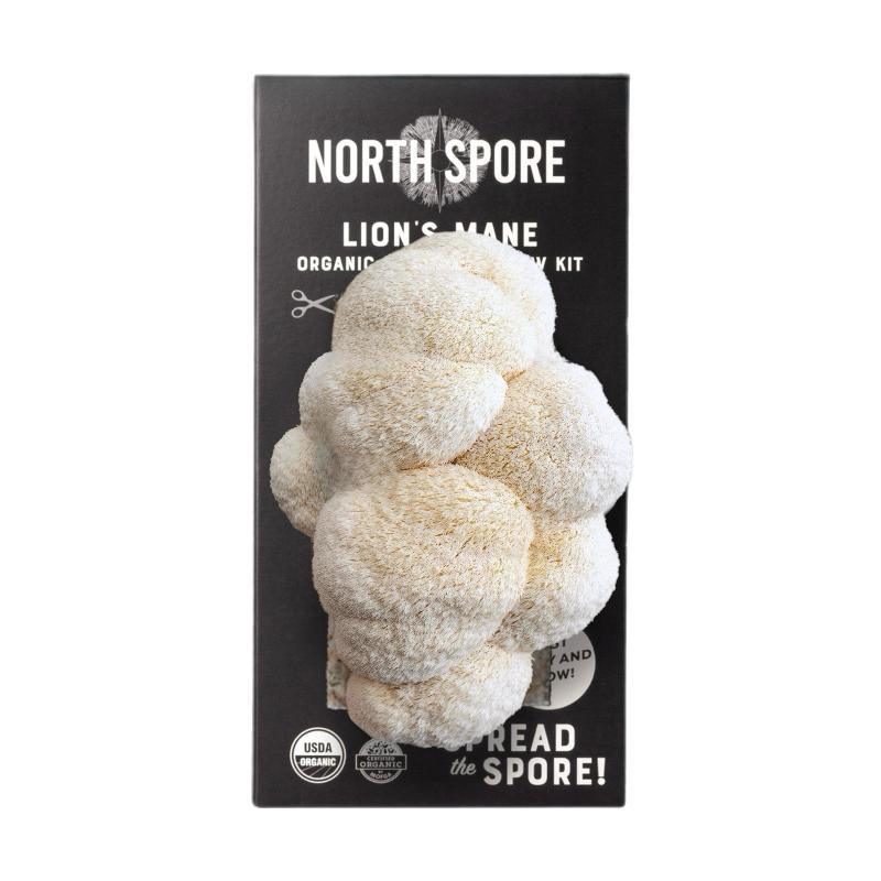 Organic Lion's Mane 'Spray & Grow' Mushroom Growing Kit