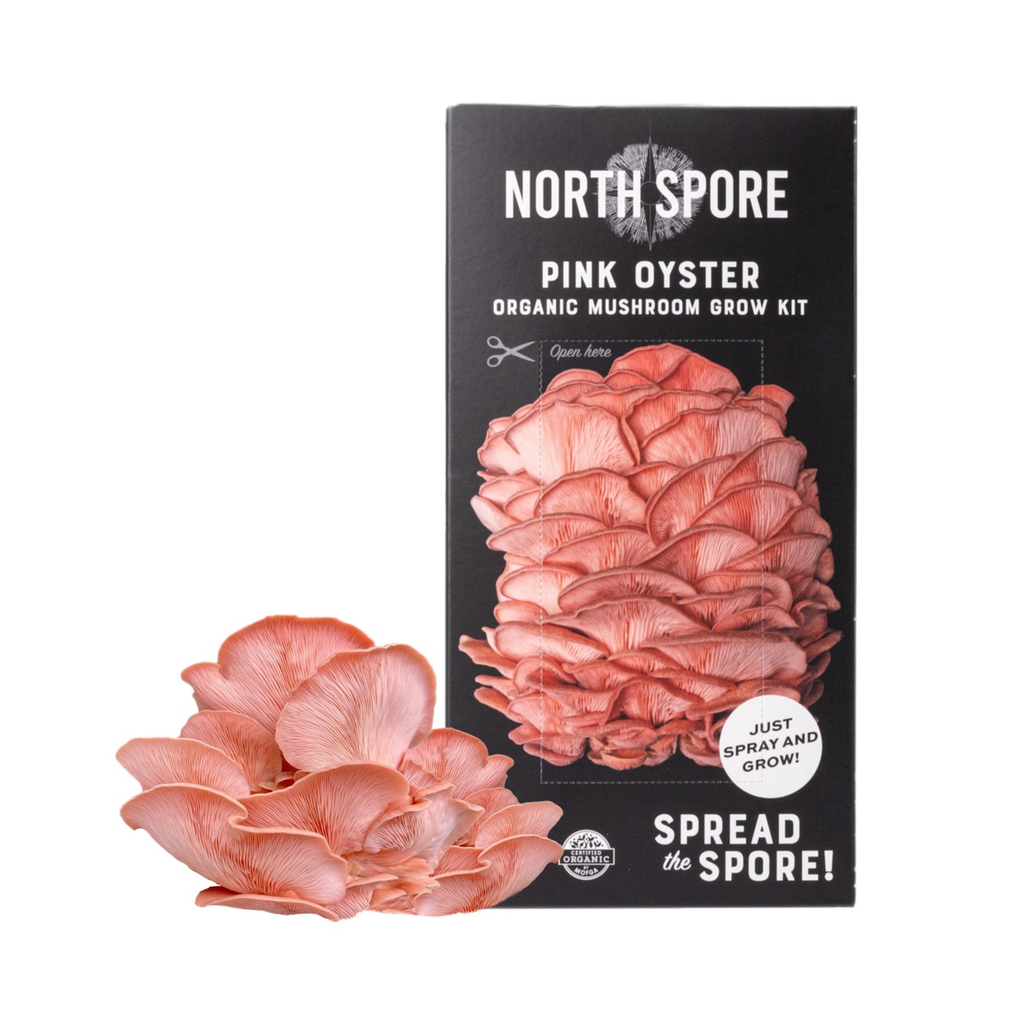 Organic Pink Oyster 'Spray & Grow' Mushroom Growing Kit